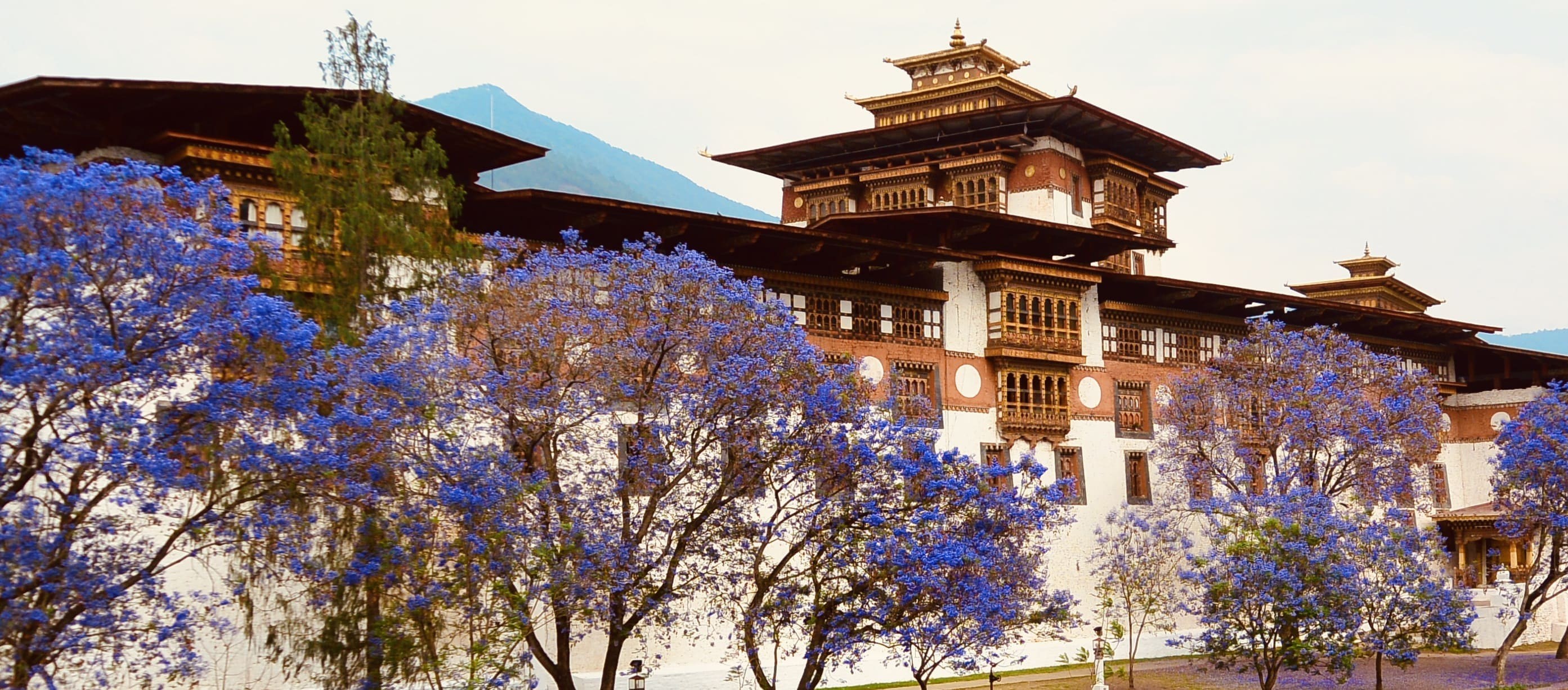 Bhutan_Hotels_Main-1639587480.jpeg