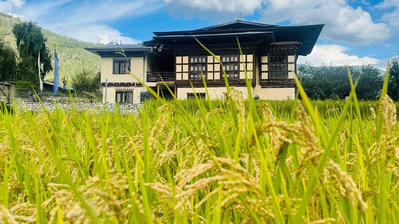 Choying_Home_Stay_Paro2-1749463093.jpg