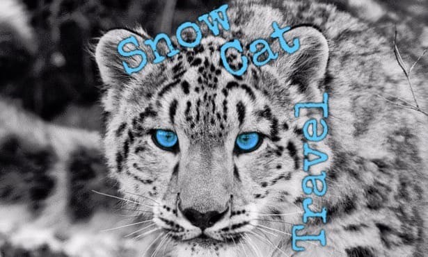 Snow_Cat_Cover_FB-1637248717.jpeg